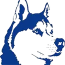Bigfork High School logo