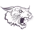 Lynden Christian High School logo