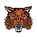 Ubly High School logo