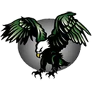 Ronald E McNair High School logo