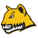 Commack High School logo