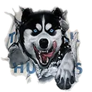 Togiak School logo