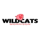 Morrison High School logo