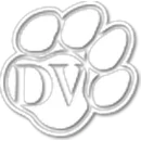 Dakota Valley High School logo
