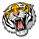 Lead Hill High School logo