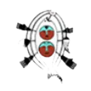 Chevak High School logo