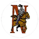 Nikolaevsk High School logo