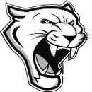 Viborg-Hurley High School logo