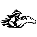 Southwest High School logo