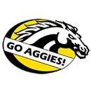 2021 MHSAA Girls Volleyball Playoffs Multi-team Event logo