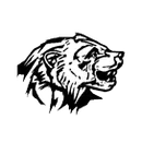 South O'Brien High School logo