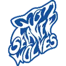 Selawik School logo