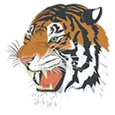 2021 IHSA Girls Volleyball Playoffs Multi-team Event logo