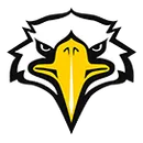 College View Academy logo