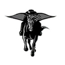 Pharr-San Juan-Alamo North High School logo