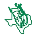 Breckenridge High School logo