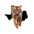 Oglesby High School logo