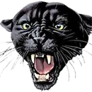 Bancroft-Rosalie High School logo