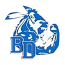 Bray-Doyle High School logo