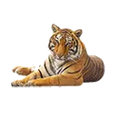 Bokoshe High School logo