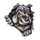 Tri-Valley High School logo