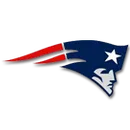 Pace High School logo