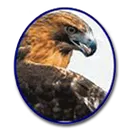 Central-Talbotton High School logo