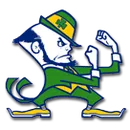 Dublin High School logo