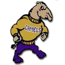 Campbell County High School logo
