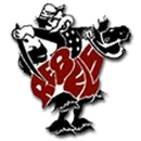 Owen County High School logo