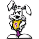 Somerset High School logo
