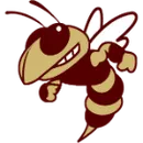 Licking Heights High School logo