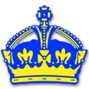 Napoleon High School logo