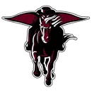 Northbrook High School logo