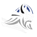 Demarest High School logo