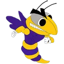Pine Bluffs High School logo