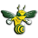 Aiken High School logo