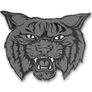 Baptist Hill High School logo