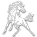 Midland Valley High School logo