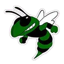 Lake High School logo