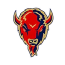 FalconerCassadaga ValleyMaple Grove logo