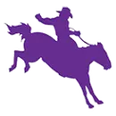 North Gem High School logo
