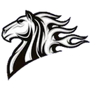 Wildorado ISD logo