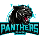 Varsity Boys Basketball Playon Panther logo