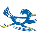 IDEA Eastside logo