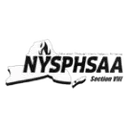 Section VIII Schools logo