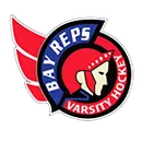 Traverse City Bay Reps logo