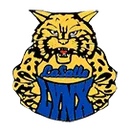 Lincoln Junior High logo