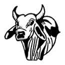 Stockdale High School logo