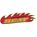 Gwinnett Heat logo